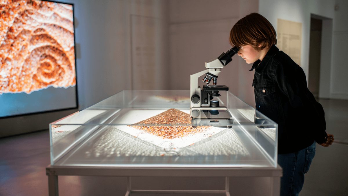 Ausstellung „Die Welt in einem Sandkorn sehen“: Mikrofotografie trifft Videokunst