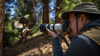 Sony: Bezahlbares 100-400mm Telezoom schon in Kürze?