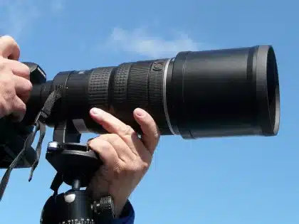 Fotograf mit großem Telezoom beim Fotografieren von Wildtieren in der Natur