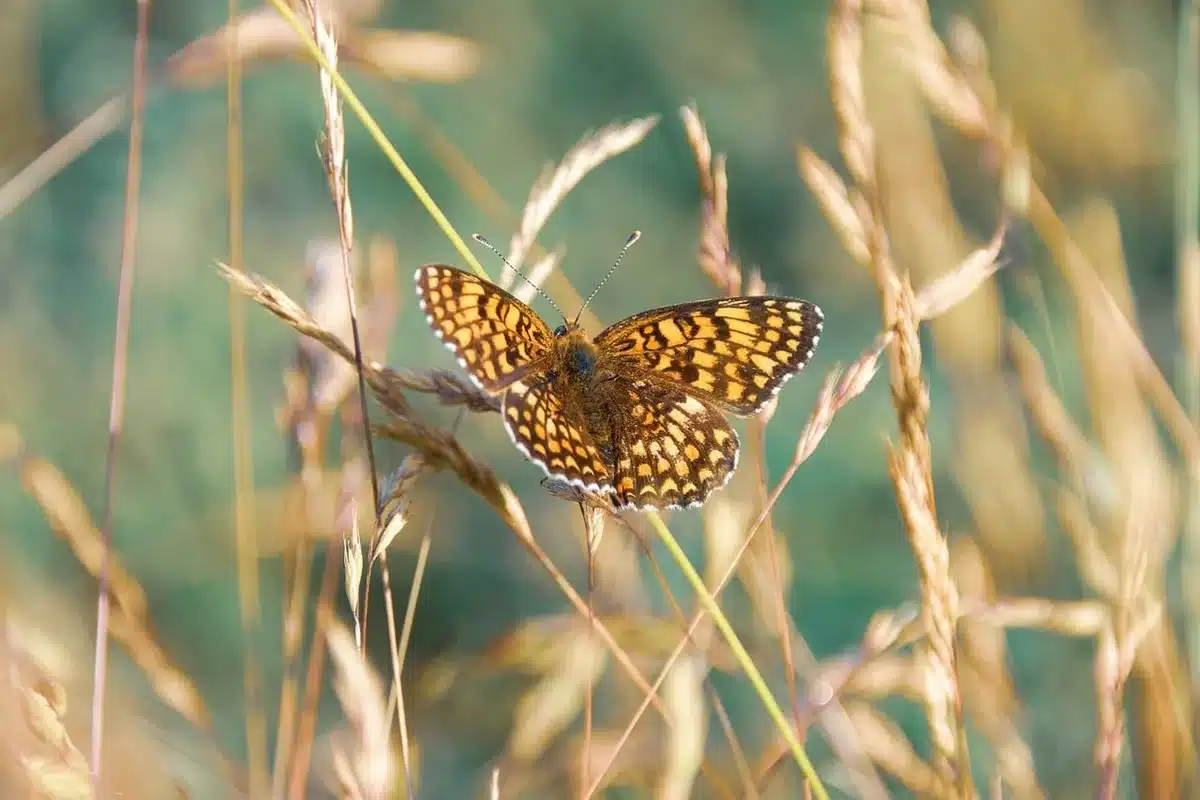 Naturfotograf bei Recherche am Ufer mit Notizbuch und Fernglas