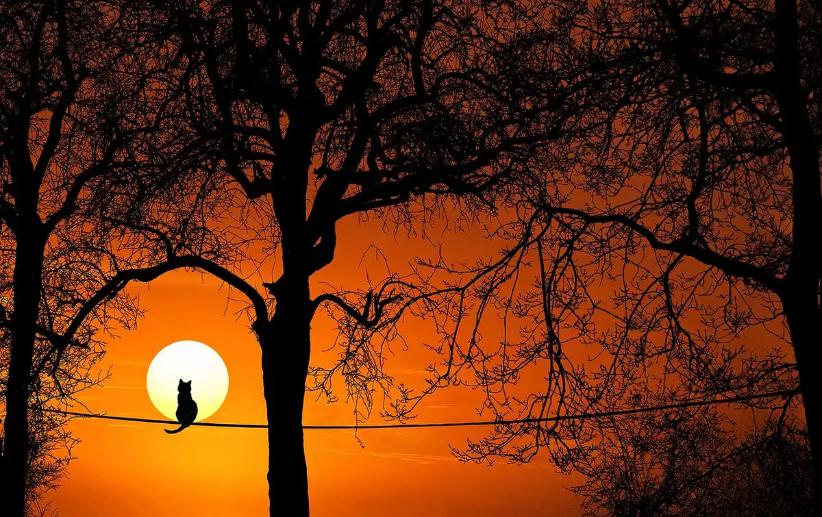 Portr&auml;t bei Sonnenuntergang mit starkem Gegenlicht und Schattendetails