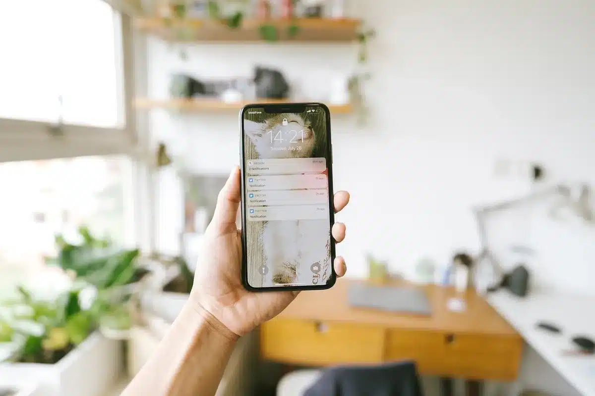 Smartphone-Einstellungsmenü mit Notfallwarnungs-Optionen für iPhone und Android