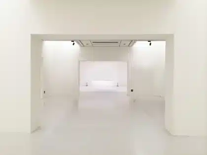 Silhouette eines Fotografen vor Ausstellungstafeln mit Tieraufnahmen im Museum