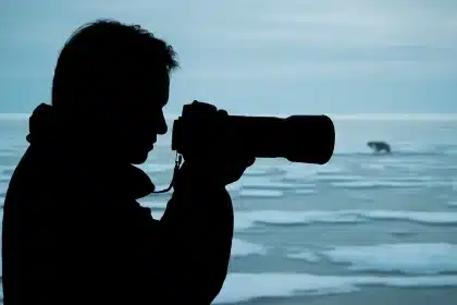 Wildlife Photographer of the Year veröffentlicht preisgekrönte Aufnahmen