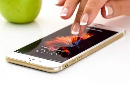 Smartphone in Nahaufnahme über einem Blatt und einer kleinen Blüte im Garten