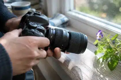 Makrofotografie online: Sofort bessere Nahaufnahmen lernen